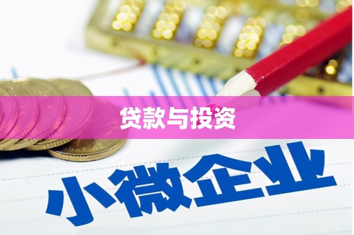 兴和贷款与投资