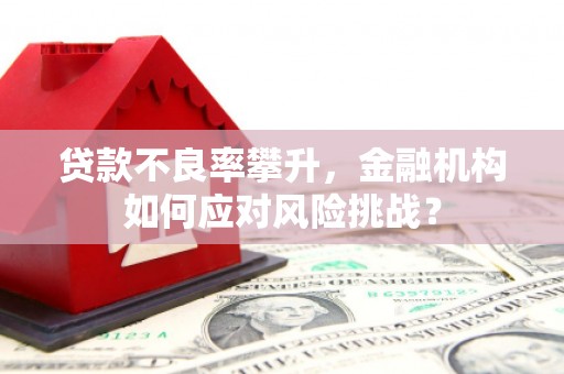 兴和贷款不良率攀升，金融机构如何应对风险挑战？