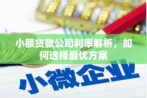 兴和小额贷款公司利率解析，如何选择最优方案