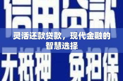 兴和灵活还款贷款，现代金融的智慧选择