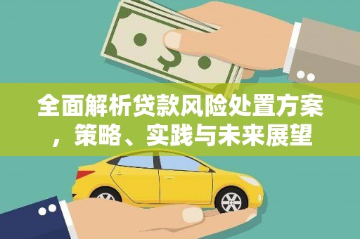 兴和全面解析贷款风险处置方案，策略、实践与未来展望