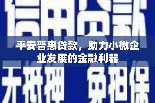 兴和平安普惠贷款，助力小微企业发展的金融利器