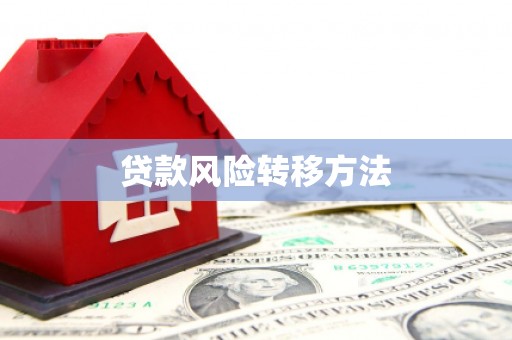 兴和贷款风险转移方法