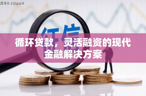 兴和循环贷款，灵活融资的现代金融解决方案