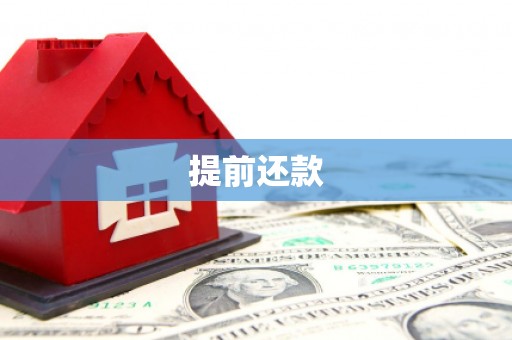 兴和提前还款