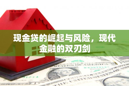 兴和现金贷的崛起与风险，现代金融的双刃剑