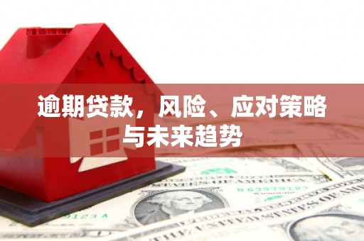 兴和逾期贷款，风险、应对策略与未来趋势