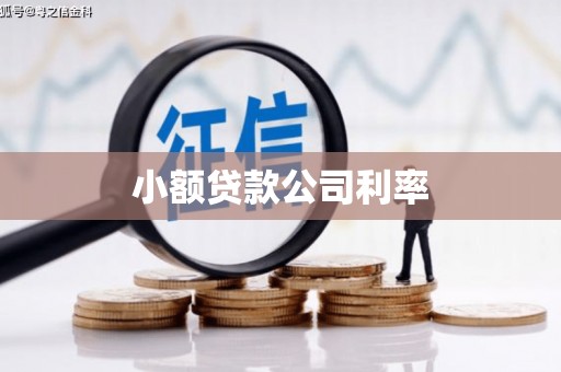 兴和小额贷款公司利率