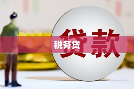 兴和税务贷
