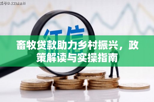兴和畜牧贷款助力乡村振兴，政策解读与实操指南
