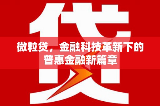 兴和微粒贷，金融科技革新下的普惠金融新篇章