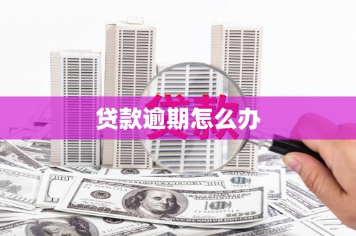 兴和贷款逾期怎么办