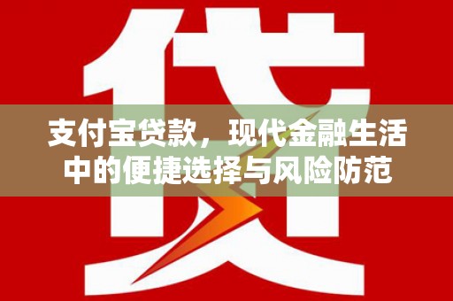 兴和支付宝贷款，现代金融生活中的便捷选择与风险防范