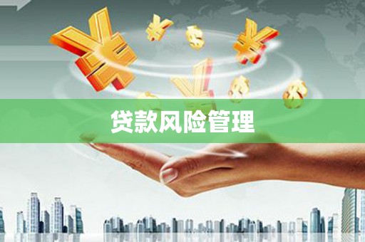 兴和贷款风险管理
