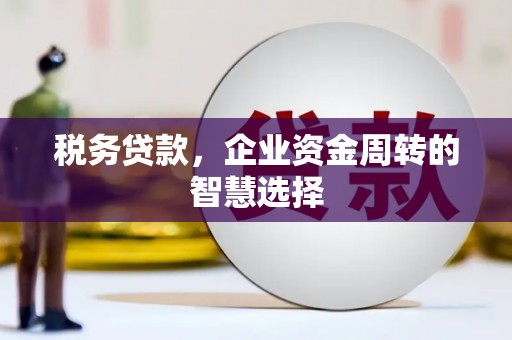 兴和税务贷款，企业资金周转的智慧选择