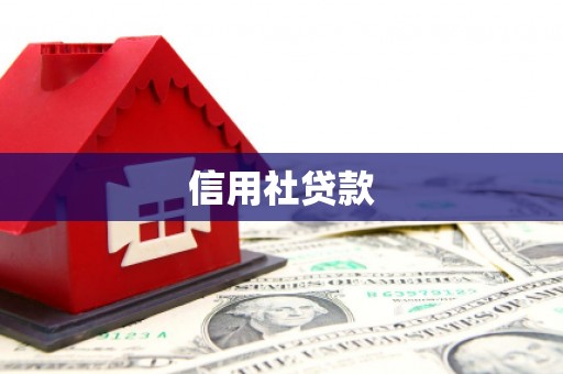 兴和信用社贷款