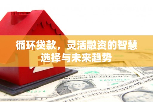 兴和循环贷款，灵活融资的智慧选择与未来趋势