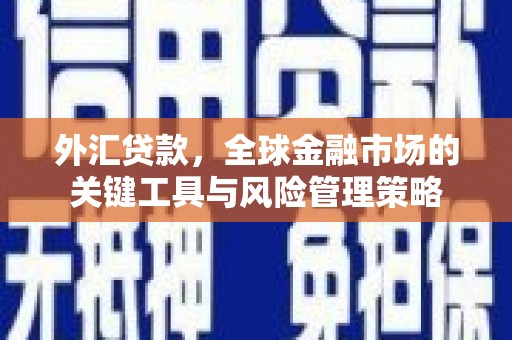 兴和外汇贷款，全球金融市场的关键工具与风险管理策略