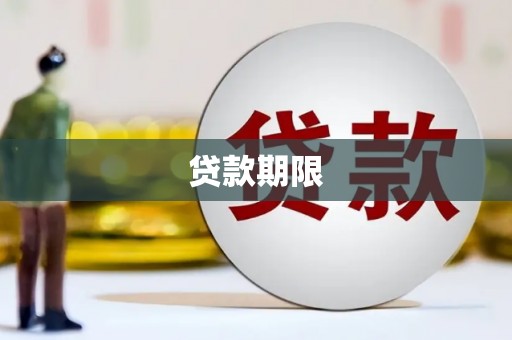 兴和贷款期限