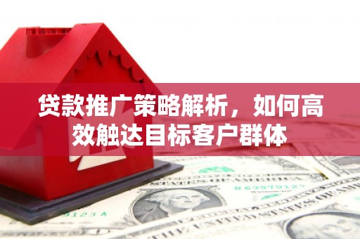 兴和贷款推广策略解析，如何高效触达目标客户群体
