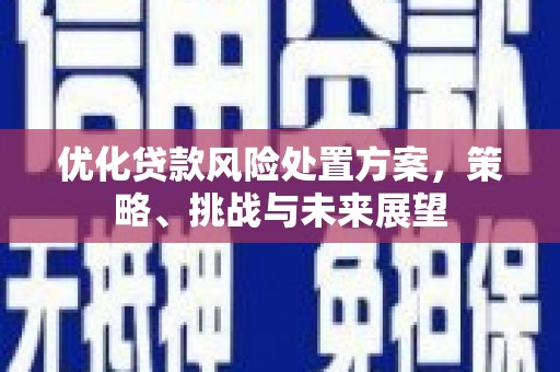 兴和优化贷款风险处置方案，策略、挑战与未来展望
