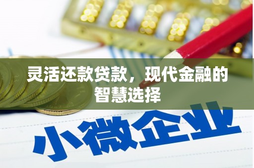 兴和灵活还款贷款，现代金融的智慧选择