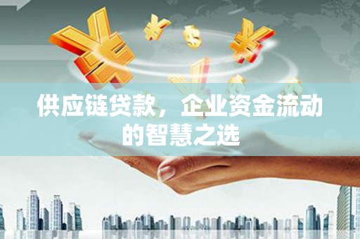 兴和供应链贷款，企业资金流动的智慧之选