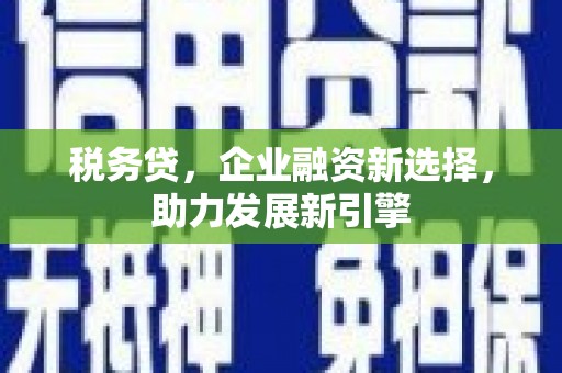 兴和税务贷，企业融资新选择，助力发展新引擎