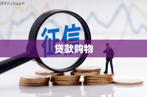 兴和贷款购物