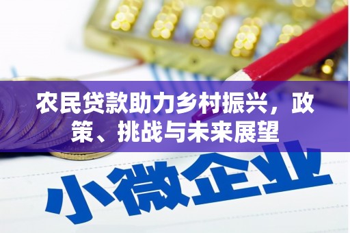 兴和农民贷款助力乡村振兴，政策、挑战与未来展望
