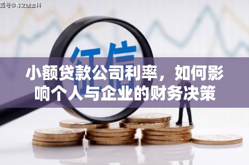 兴和小额贷款公司利率，如何影响个人与企业的财务决策