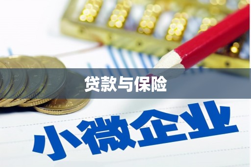 兴和贷款与保险