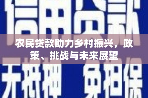 兴和农民贷款助力乡村振兴，政策、挑战与未来展望