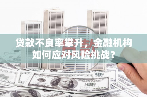 兴和贷款不良率攀升，金融机构如何应对风险挑战？