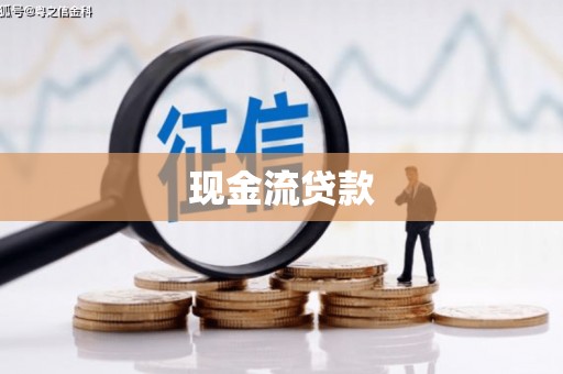 兴和现金流贷款
