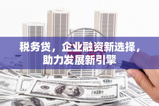 兴和税务贷，企业融资新选择，助力发展新引擎