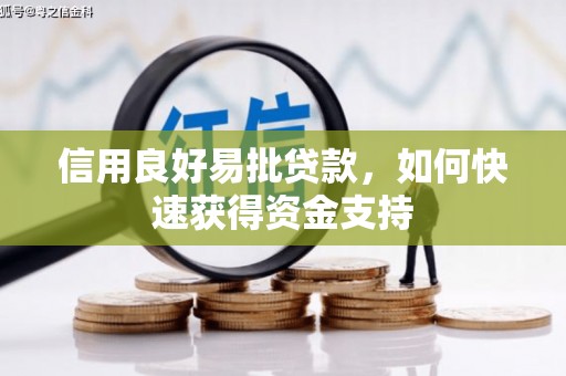 兴和信用良好易批贷款，如何快速获得资金支持