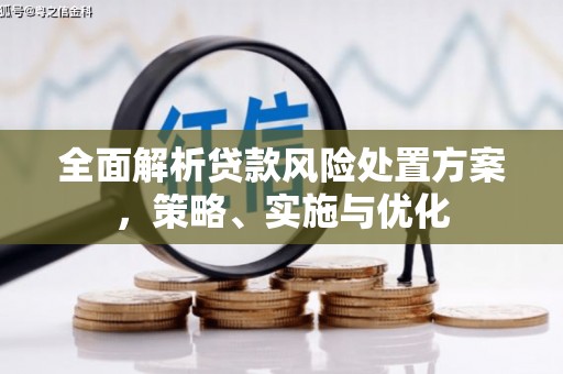 兴和全面解析贷款风险处置方案，策略、实施与优化