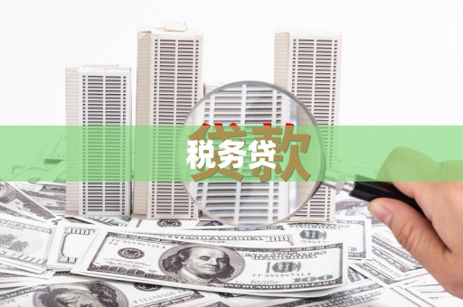 兴和税务贷