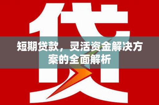 兴和短期贷款，灵活资金解决方案的全面解析