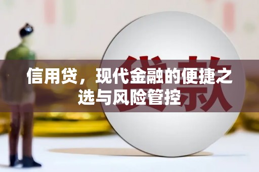 兴和信用贷，现代金融的便捷之选与风险管控