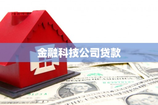 兴和金融科技公司贷款