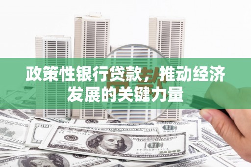 兴和政策性银行贷款，推动经济发展的关键力量