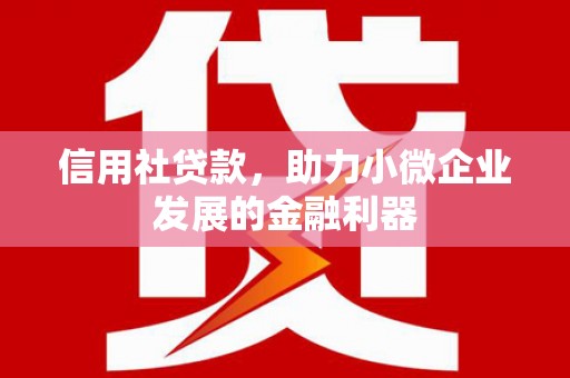 兴和信用社贷款，助力小微企业发展的金融利器
