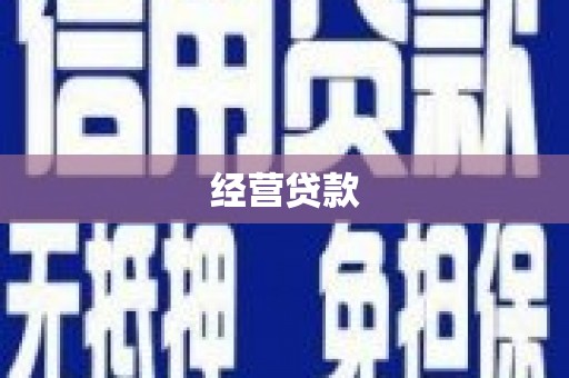 兴和经营贷款