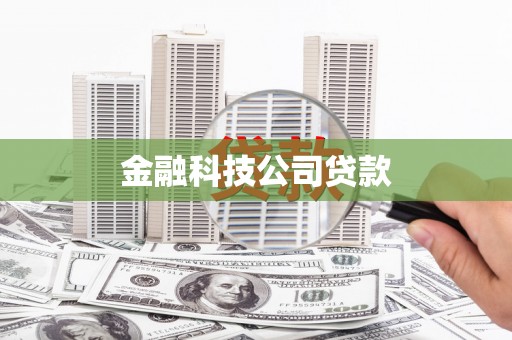 兴和金融科技公司贷款