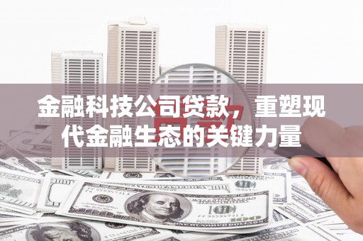 兴和金融科技公司贷款，重塑现代金融生态的关键力量