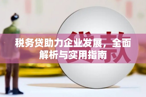 兴和税务贷助力企业发展，全面解析与实用指南