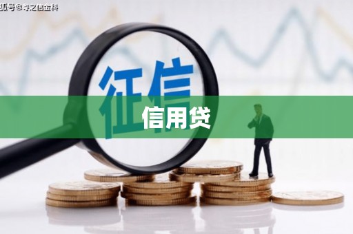 兴和信用贷