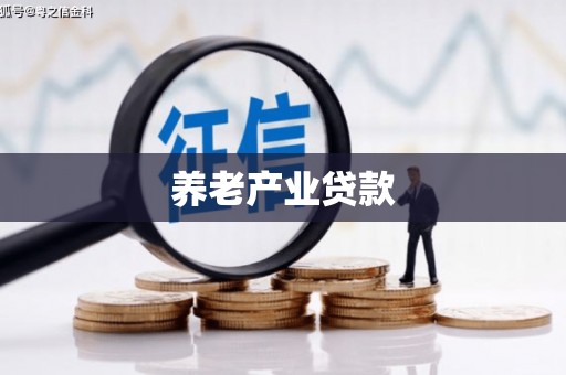 兴和养老产业贷款